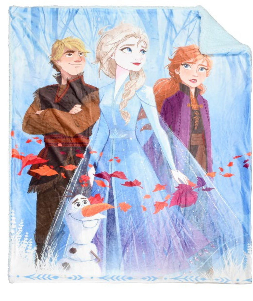 2ply Licensed Photoreal Throw Frozen 2 (Mp4) 40x50"