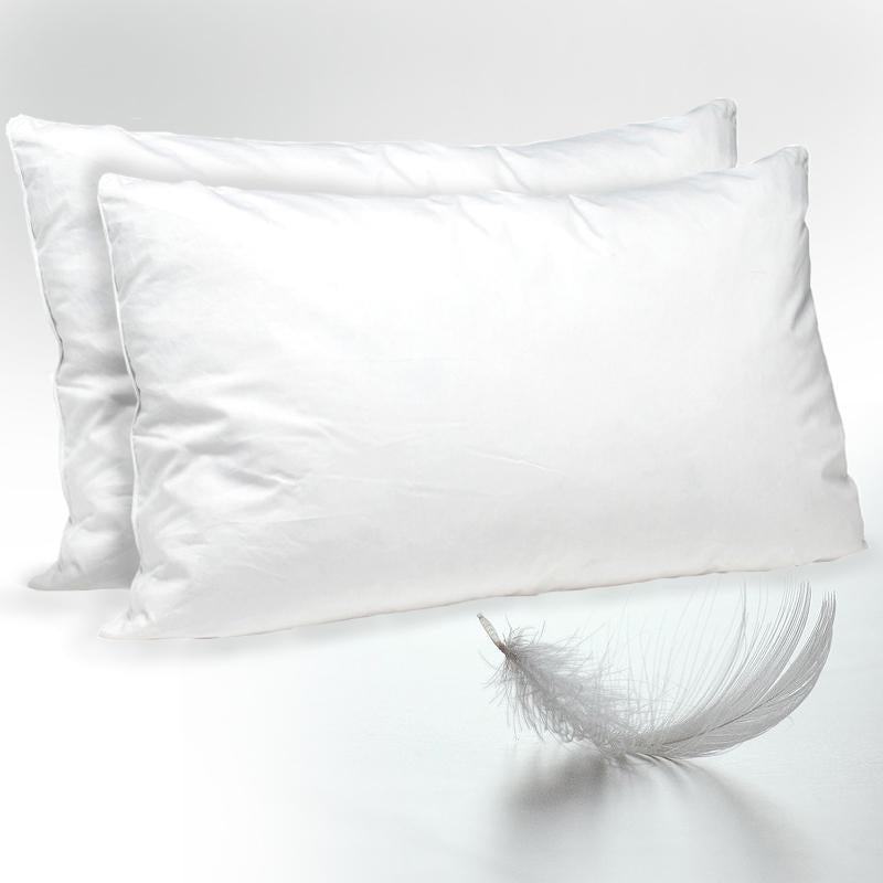 Lauren Taylor Down & Feather Pillow Pair With Piping