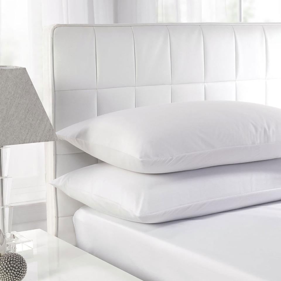 Sandra Venditti Luxurious Feather Pillows 2 Pack